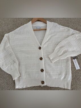 Cupcakes & Cashmere Cream Knit Button-Front Cardigan XL